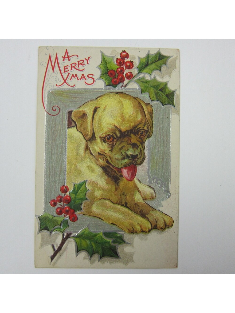 Christmas Postcard Puppy Dog Sits Bulldog Holly Berries Silver Embossed Antique